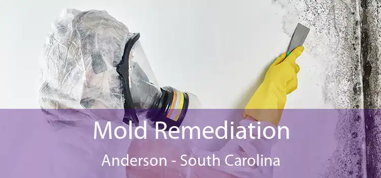 Mold Remediation Anderson - South Carolina