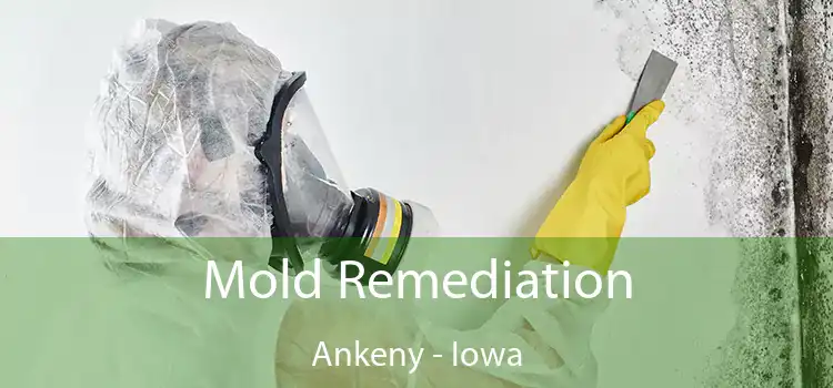 Mold Remediation Ankeny - Iowa