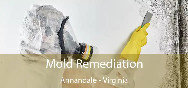 Mold Remediation Annandale - Virginia