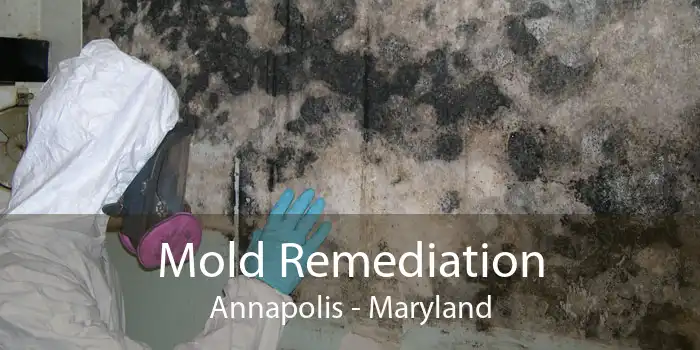 Mold Remediation Annapolis - Maryland