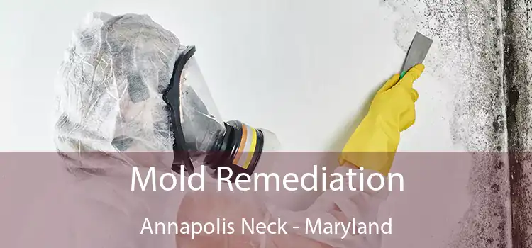 Mold Remediation Annapolis Neck - Maryland