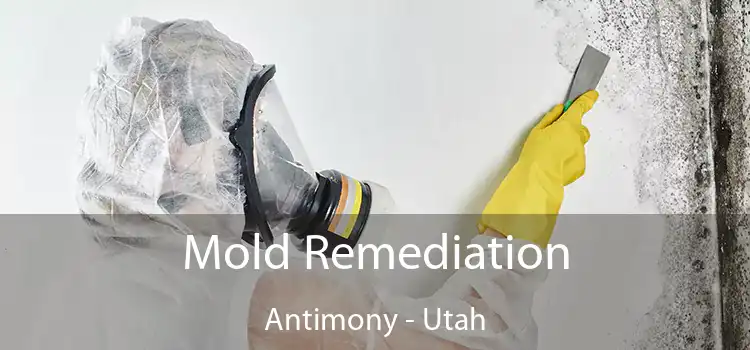 Mold Remediation Antimony - Utah