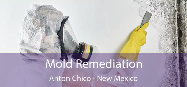 Mold Remediation Anton Chico - New Mexico