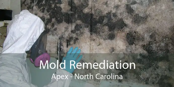 Mold Remediation Apex - North Carolina