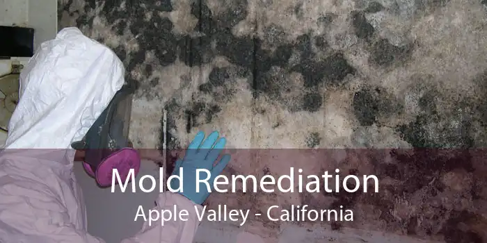 Mold Remediation Apple Valley - California