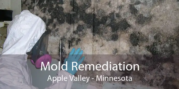 Mold Remediation Apple Valley - Minnesota