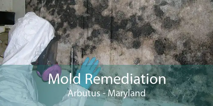 Mold Remediation Arbutus - Maryland