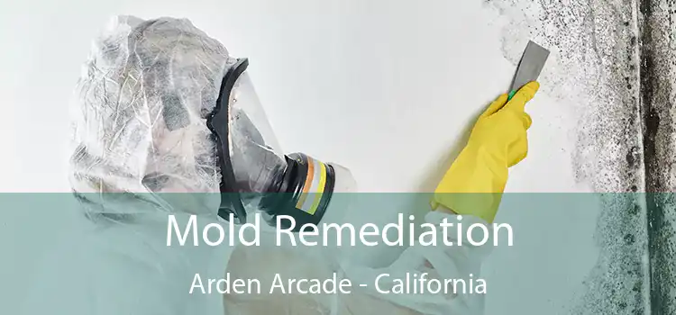 Mold Remediation Arden Arcade - California