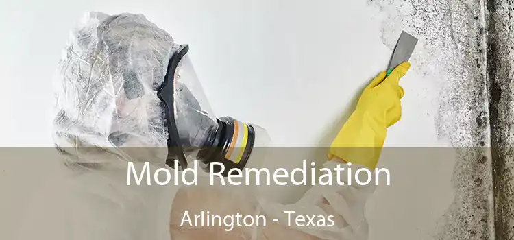 Mold Remediation Arlington - Texas