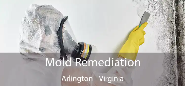 Mold Remediation Arlington - Virginia