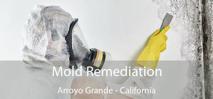 Mold Remediation Arroyo Grande - California