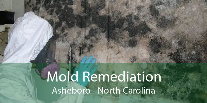 Mold Remediation Asheboro - North Carolina