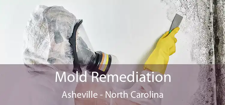 Mold Remediation Asheville - North Carolina