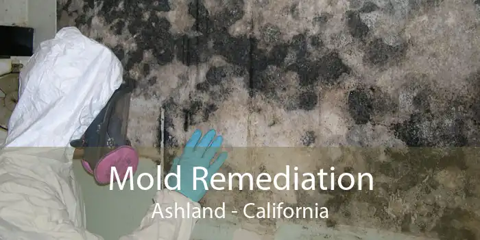 Mold Remediation Ashland - California