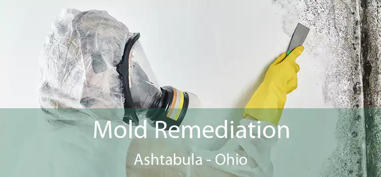 Mold Remediation Ashtabula - Ohio