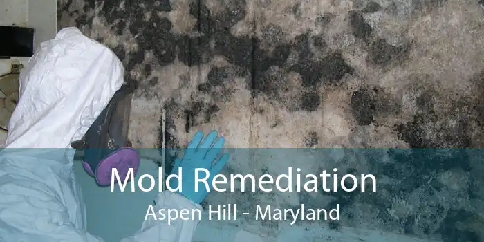 Mold Remediation Aspen Hill - Maryland