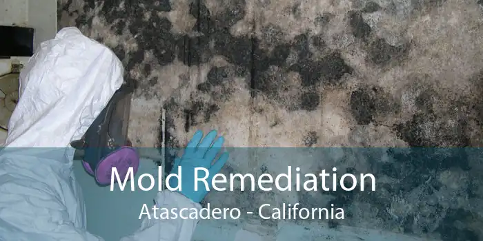 Mold Remediation Atascadero - California