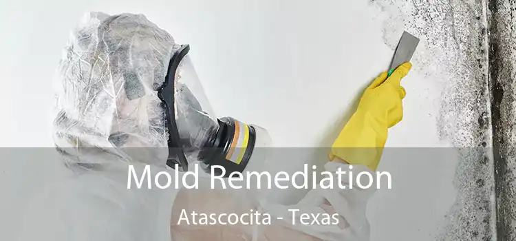 Mold Remediation Atascocita - Texas