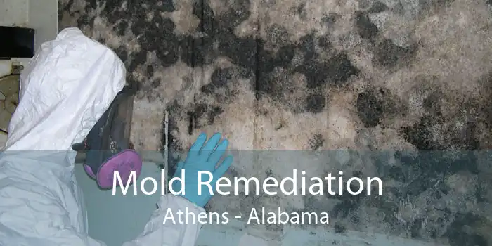 Mold Remediation Athens - Alabama