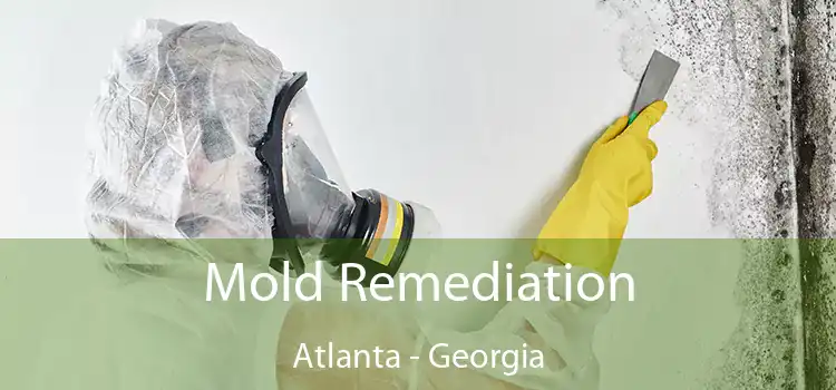 Mold Remediation Atlanta - Georgia