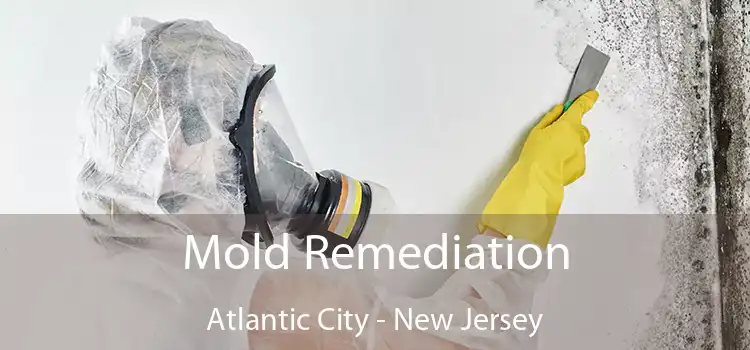 Mold Remediation Atlantic City - New Jersey