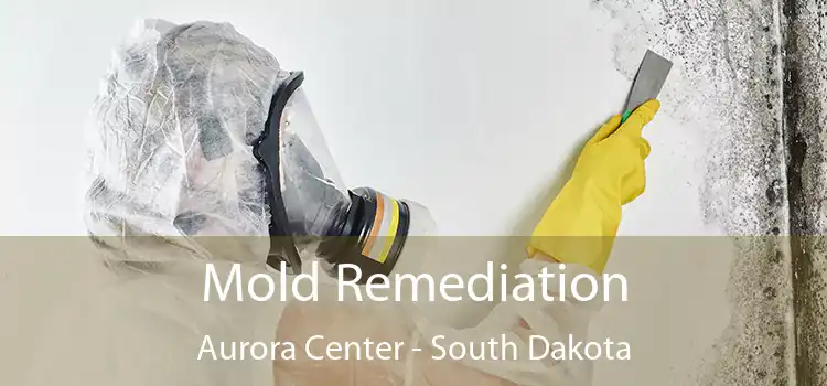 Mold Remediation Aurora Center - South Dakota