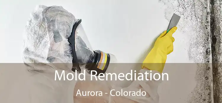 Mold Remediation Aurora - Colorado