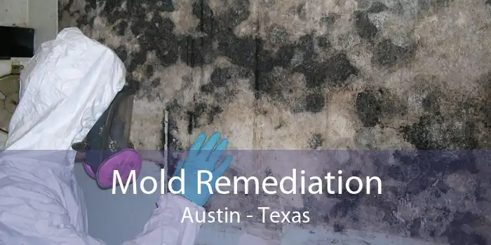 Mold Remediation Austin - Texas