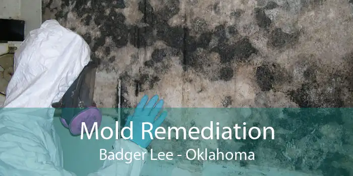 Mold Remediation Badger Lee - Oklahoma