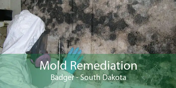 Mold Remediation Badger - South Dakota