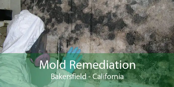 Mold Remediation Bakersfield - California