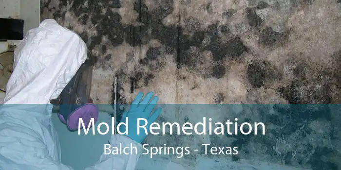 Mold Remediation Balch Springs - Texas