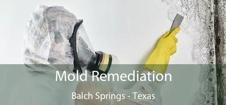 Mold Remediation Balch Springs - Texas