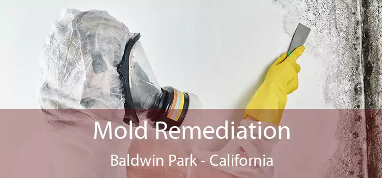 Mold Remediation Baldwin Park - California