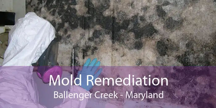 Mold Remediation Ballenger Creek - Maryland