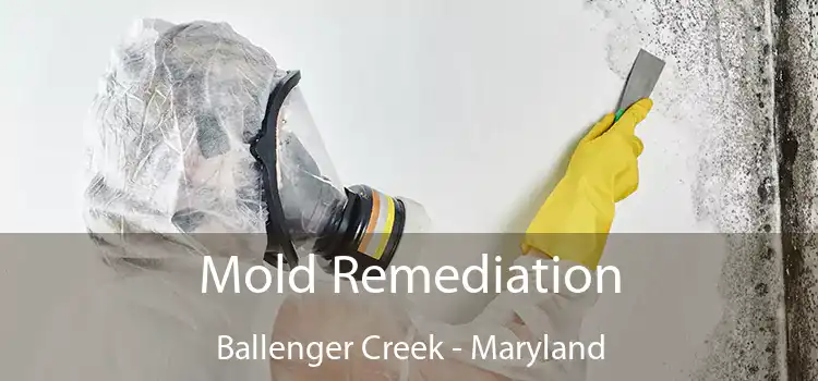 Mold Remediation Ballenger Creek - Maryland