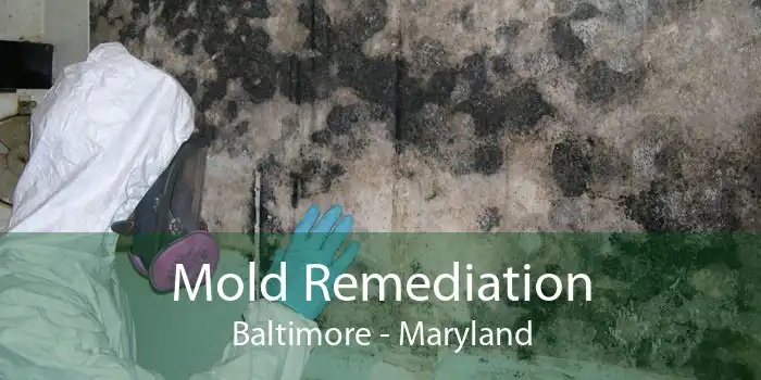 Mold Remediation Baltimore - Maryland