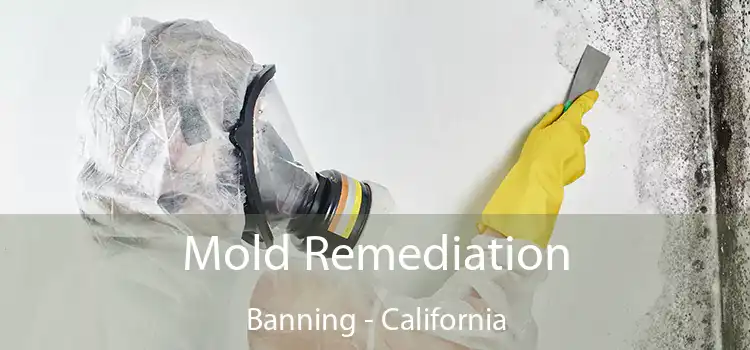 Mold Remediation Banning - California