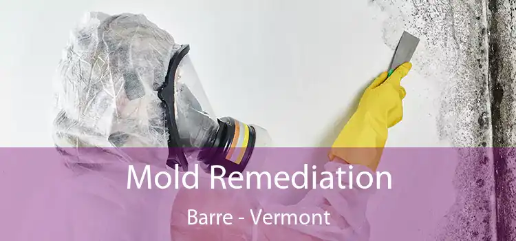 Mold Remediation Barre - Vermont