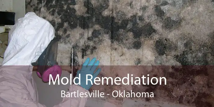 Mold Remediation Bartlesville - Oklahoma