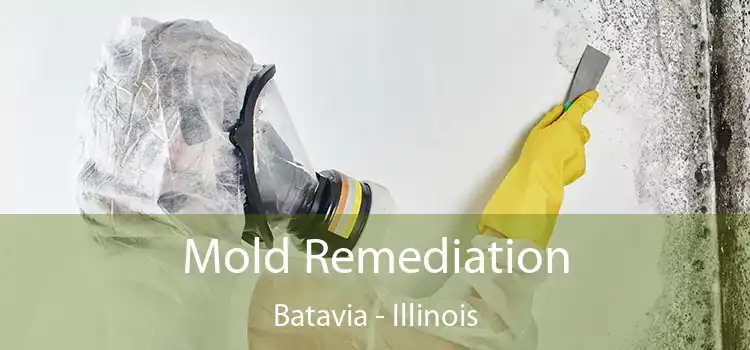 Mold Remediation Batavia - Illinois