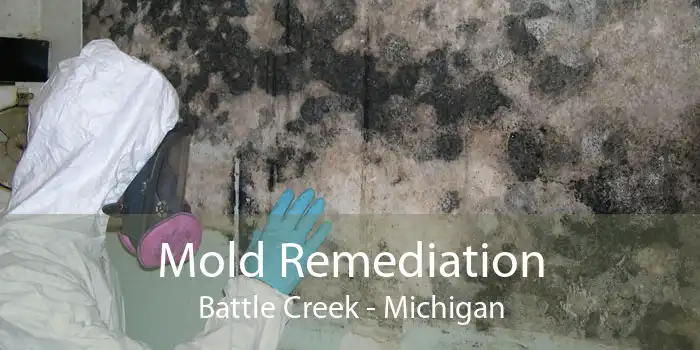 Mold Remediation Battle Creek - Michigan