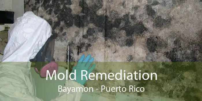 Mold Remediation Bayamon - Puerto Rico