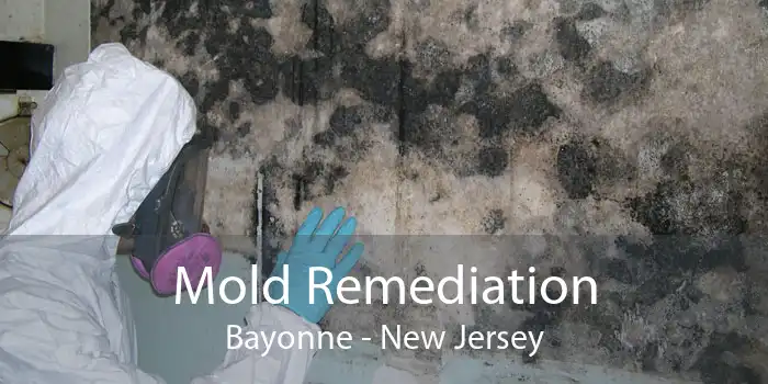 Mold Remediation Bayonne - New Jersey