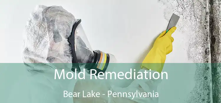 Mold Remediation Bear Lake - Pennsylvania