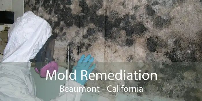 Mold Remediation Beaumont - California
