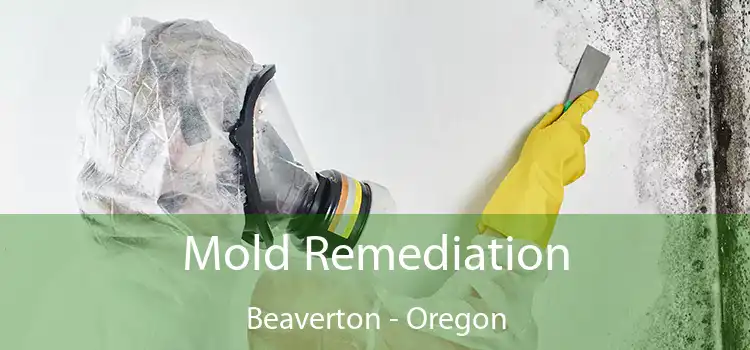 Mold Remediation Beaverton - Oregon