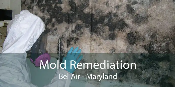 Mold Remediation Bel Air - Maryland