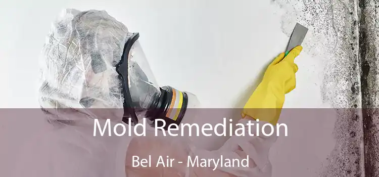 Mold Remediation Bel Air - Maryland