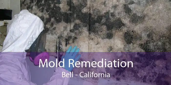 Mold Remediation Bell - California
